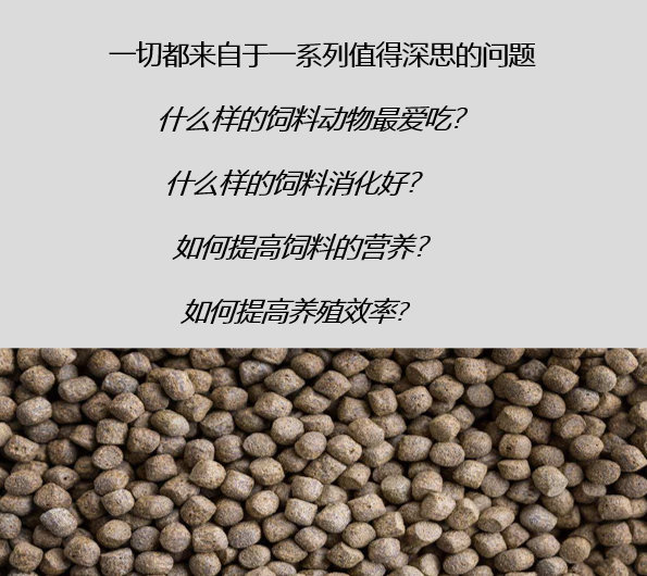 關(guān)于飼料生產(chǎn)的熟化工藝，以及保持器/保質(zhì)器的應(yīng)用解析